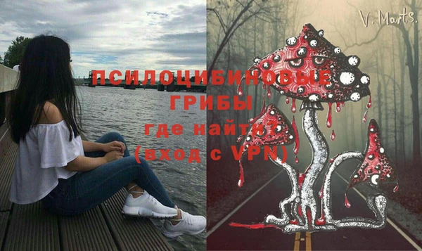 ECSTASY Алзамай