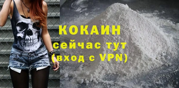 ешки Пересвет