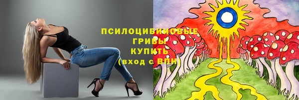 ECSTASY Алзамай