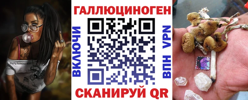 ОМГ ОМГ ТОР купить цена Аргун Псилоцибиновые грибы Magic Shrooms